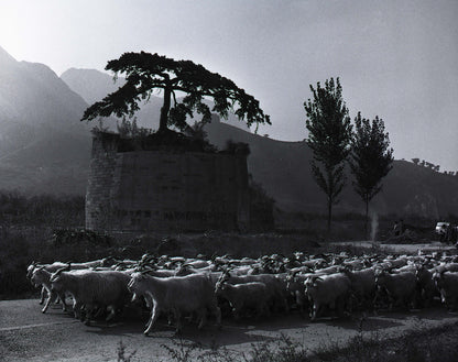 A Hero’s Vigil – Hebei, China