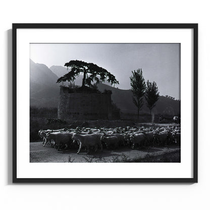 A Hero’s Vigil – Hebei, China